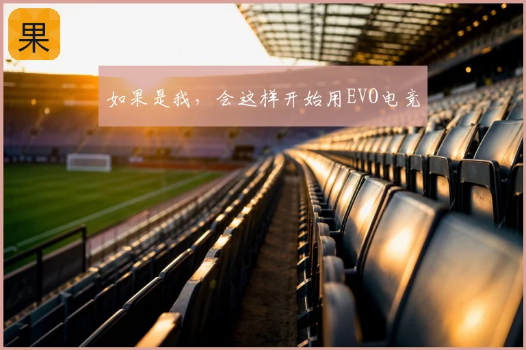 如果是我,会这样开始用EVO电竞
